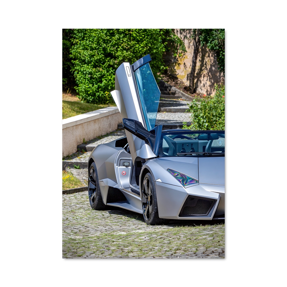 Poster Reventon roadster portes